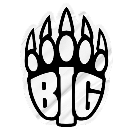 BIG logo