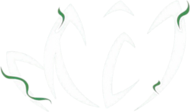 TL logo
